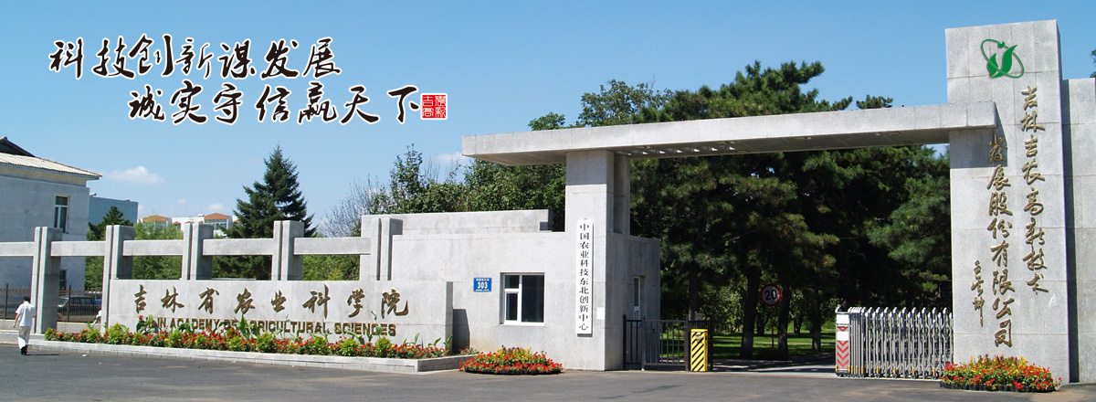 新聞動(dòng)態(tài)
